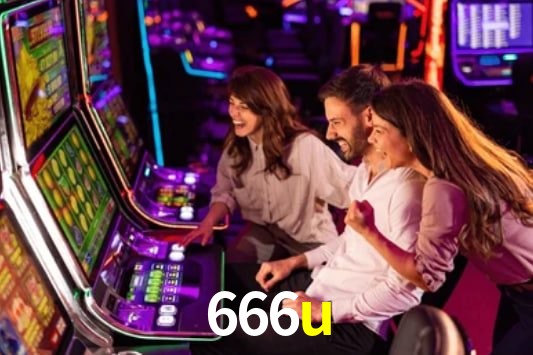 Interface Premium 666u